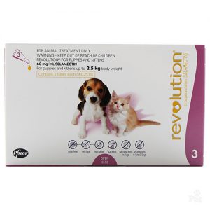 revolution for dogs