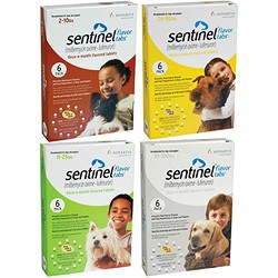 Sentinel for Dogs