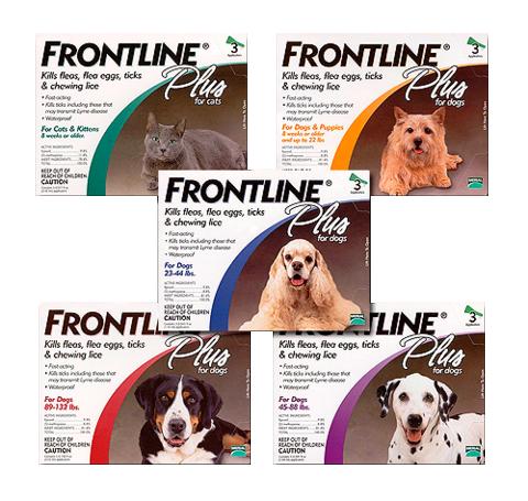 Frontline Plus for Dogs & Cats