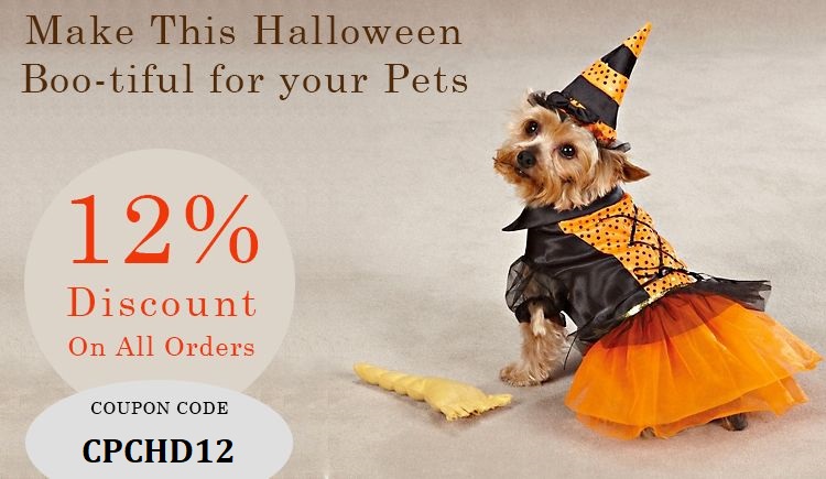 Halloween Sale on Pet Supplies