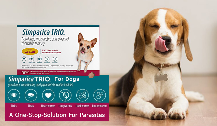 Simparica Trio For Dogs - A One-Stop-Solution For Parasites