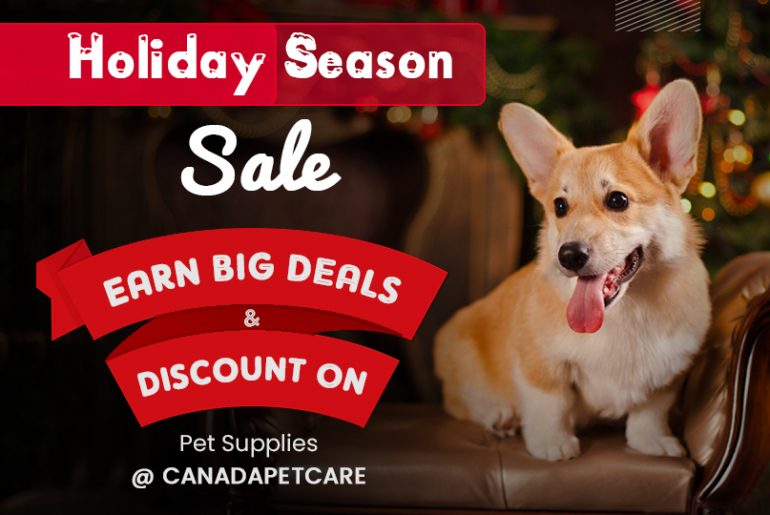 Holiday Season Sale on Pet Supplies 2021