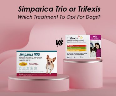 Simparica Trio vs Trifexis