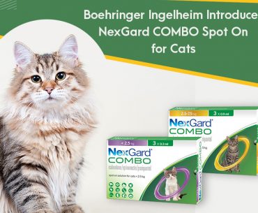 New NexGard COMBO for Cats