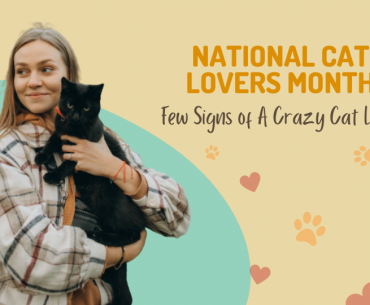 Few Signs of A Crazy Cat Lady