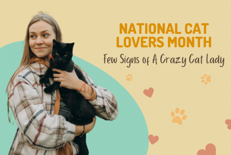 Few Signs of A Crazy Cat Lady