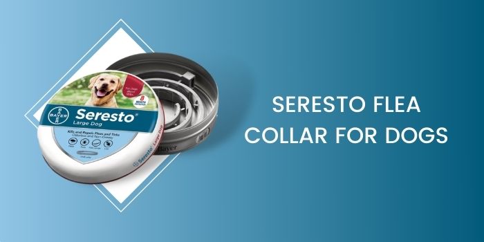 SERESTO COLLAR: Best Overall Flea and Tick Collar for Dogs