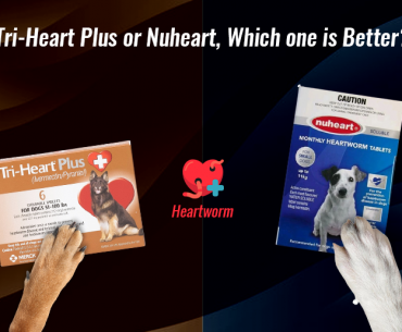 Nuheart vs Triheart Dog Heartworm Product Compare