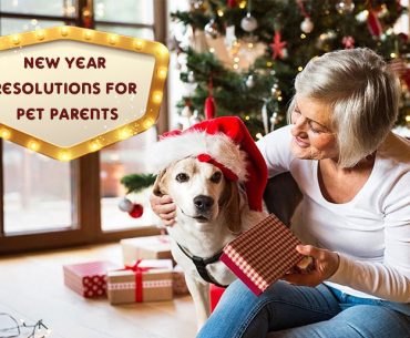 New Year Resolutions for Pet Parents