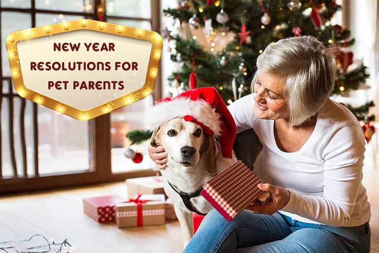 New Year Resolutions for Pet Parents