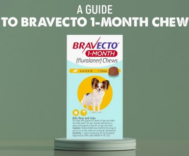 Bravecto 1 Month Chew Review