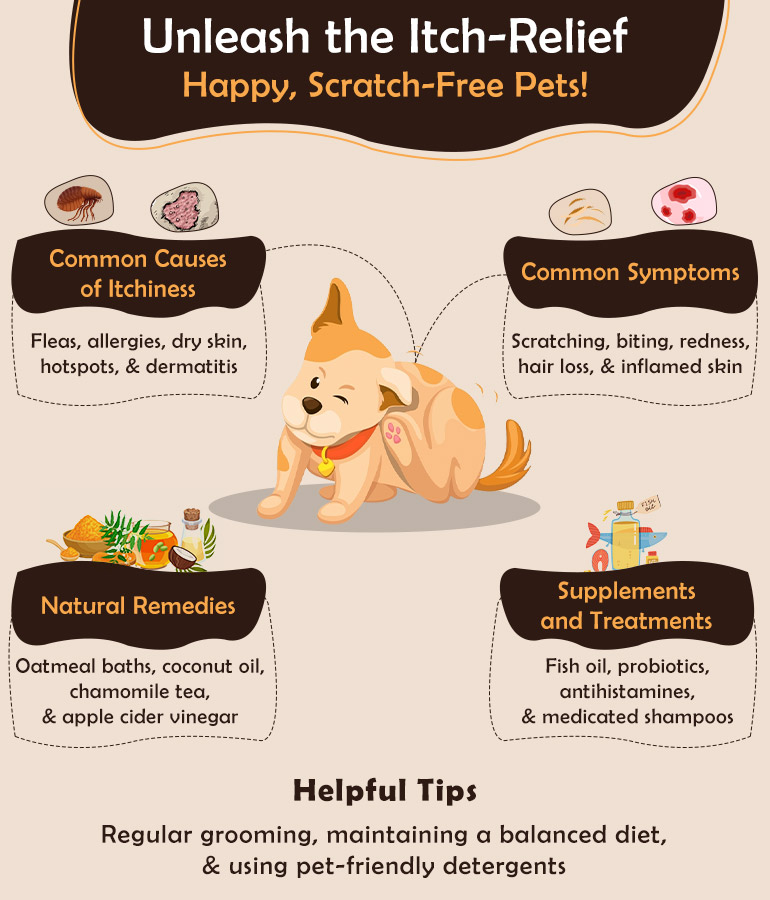 Remedies for Itchy Dog Skin Infographic
