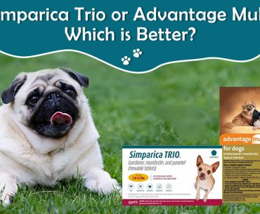 Simparica Trio or Advantage Multi− Which is Better?