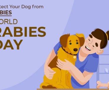 How to Celebrate World Rabies Day