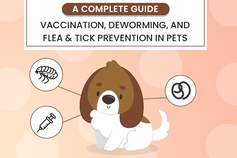 Vaccination, Deworming, and Flea & Tick Prevention in Pets