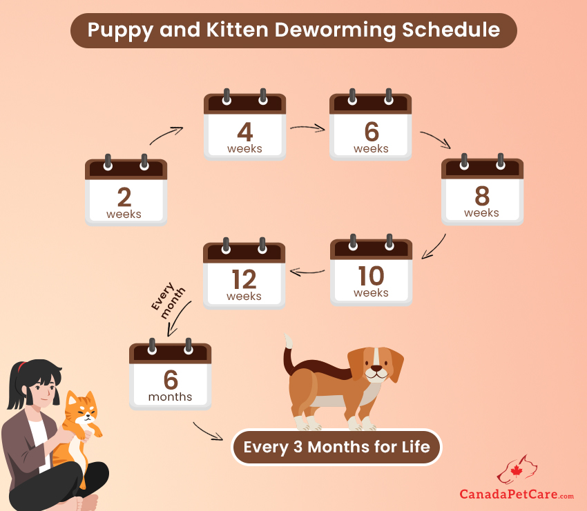 puppy deworming schedule guide