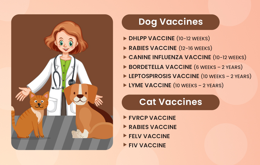 What vaccines do adult dogs and cats need?