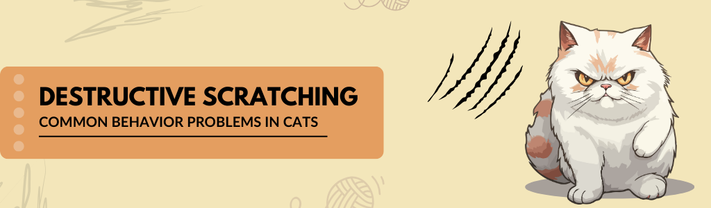How to Stop Destructive Scratching in Cats