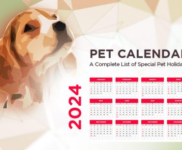 List of Dog & Cat Holidays 2024