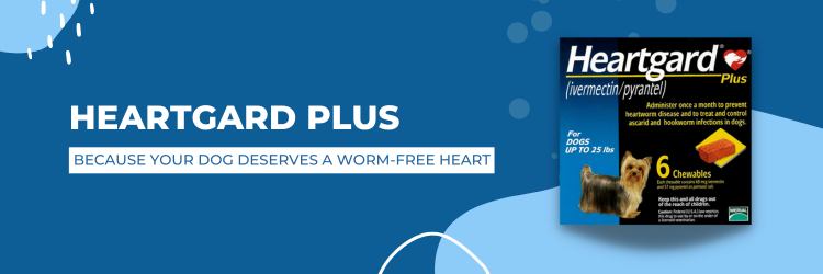 Heartgard Plus: The Smart Choice for Heartworm Prevention