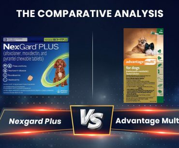 Nexgard Plus & Advantage Multi – The Comparative Analysis