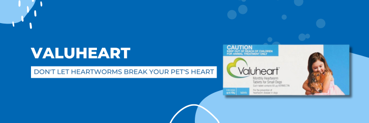 Valuheart monthly heartworm preventive 