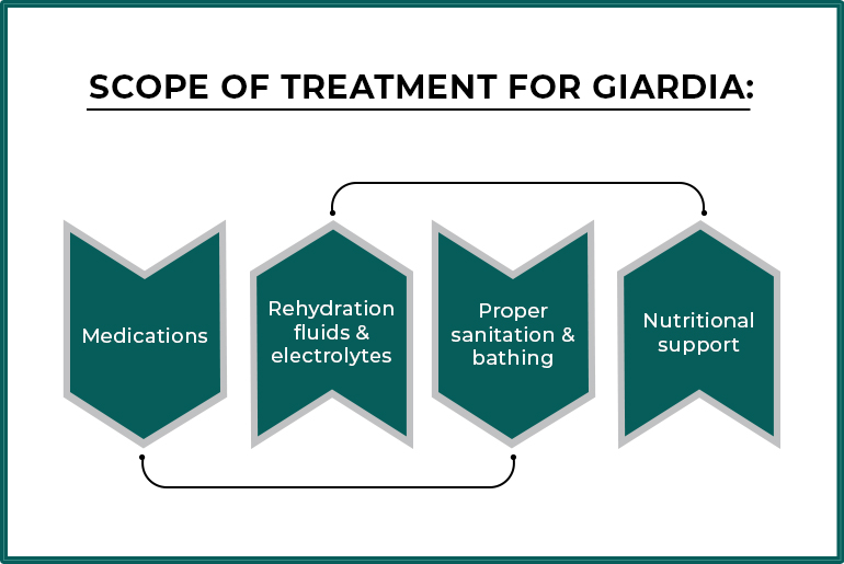 Giardia Infection and Treatment in Dogs
