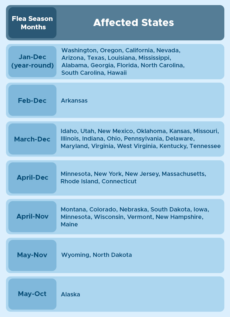 Your State’s Flea and Tick Season