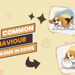 7 Common Behavioral Problems in Dogs & Tips to Fix Them