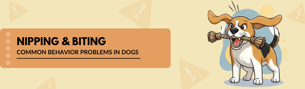 Nipping and biting common behavior problems in dogs