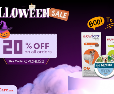 No Tricks, Only Treats On This Halloween – Get 20% OFF On All Pet Supplies! CanadaPetCare Halloween Coupon Code 2023