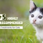 Top Vet Recommended Flea Treatments For Cats