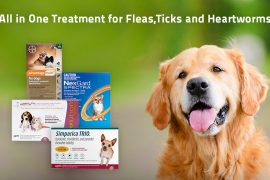 Top 4 All in One Treatments for Fleas, Ticks and Heartworms in 2025 Flea, Ticks & Heartworm Treatment for dogs 2022