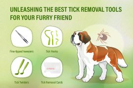 Unleashing the Best Tick Removal Tools for Your Furry Friend Tick Removal Tools and How to Use Them