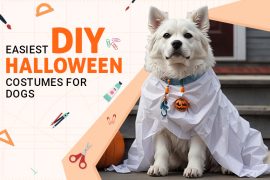 13 Easiest DIY Halloween Costumes for Dogs in 2025 Easiest DIY Halloween Costumes for Dogs