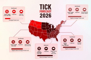When is Flea & Tick Season in USA