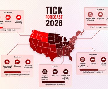 When is Flea & Tick Season in USA