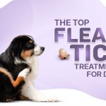 Flea And Tick Treatments For Dogs