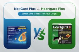 NexGard Plus vs. Heartgard Plus: Which One is Ideal for Your Dogs? NexGard Plus vs. Heartgard Plus - Which One to Choose?