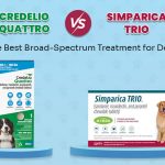 Credelio Quattro and Simparica Trio comparison