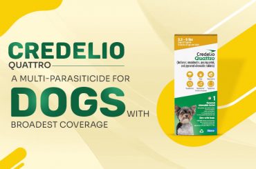 Credelio Quattro: A Multi-parasiticide for Dogs with Broadest Coverage Credelio Quattro for Dog s