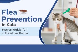 Flea Prevention in Cats: Proven Guide for a Flea-free Feline Flea Prevention in Cats Guide
