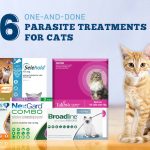 All-in-One Parasite Treatments for Cats
