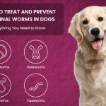 Common Intestinal Worms in Dogs