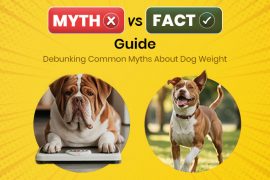 Debunking Common Myths About Dog Weight Common Myths About Dog Weight