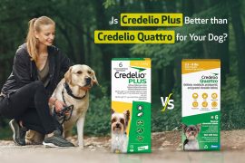 Is Credelio Plus Better than Credelio Quattro for Your Dog? How Credelio Plus is better than Credelio Quattro