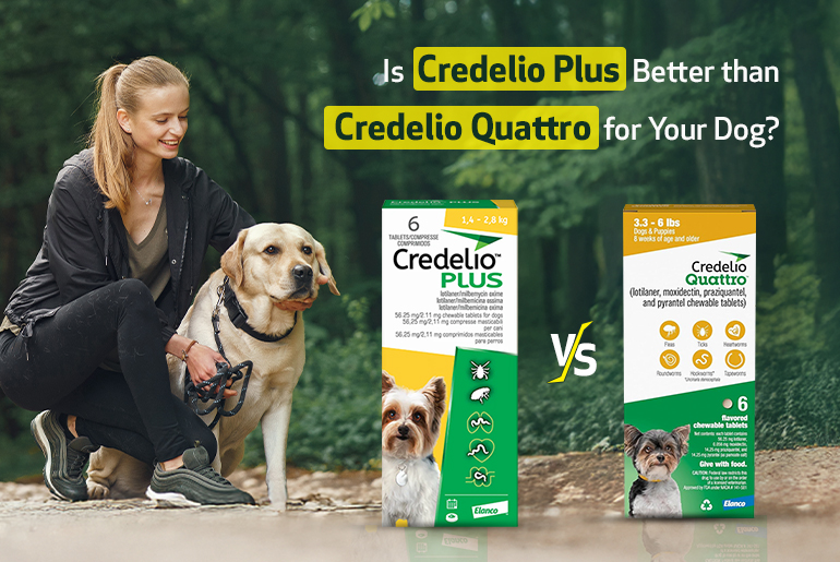 How Credelio Plus is better than Credelio Quattro