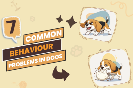 7 Common Behavioral Problems in Dogs & Tips to Fix Them