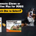 Bravecto Chews and Frontline Plus for Dogs Comparison