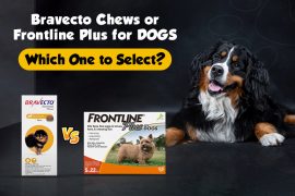 Bravecto Chews and Frontline Plus for Dogs Comparison